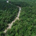 Bragança (PA), 12/06/2025 – Vista de um braço do Rio Caeté em área de manguezal na Reserva Extrativista Marinha de Caeté-Taperaçu monitorada pelo projeto Mangues da Amazônia. Foto: Fernando Frazão/Agência Brasil