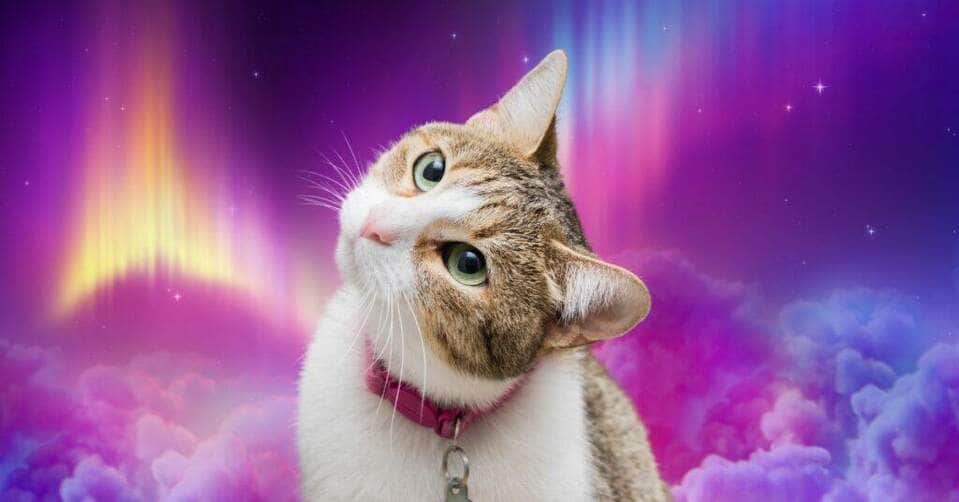 horóscopo de amanhã