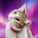 horóscopo de amanhã