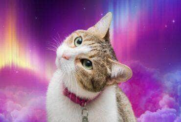 horóscopo de amanhã