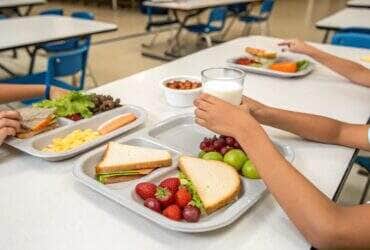 Câmara aprova lei que garante lanche próprio para crianças com autismo em MT