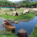 Espaço Savana Africana, no Bioparque do Rio. O espaço é cortado por um rio de 250 metros de extensão e uma passarela suspensa.