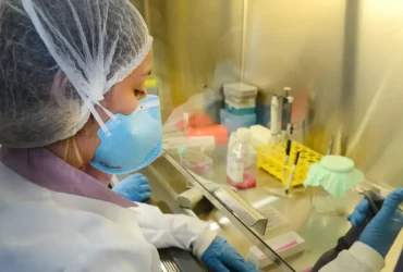 Pesquisa avança no desenvolvimento de vacina contra zika