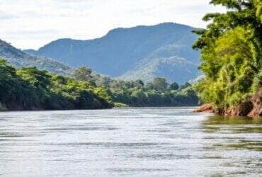 MPF investiga suspeita de crime ambiental em área protegida de Mato Grosso