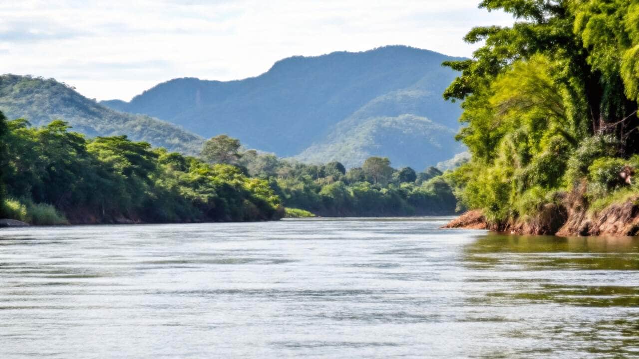 MPF investiga suspeita de crime ambiental em área protegida de Mato Grosso