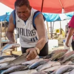 Produtores brasileiros enfrentam impactos imediatos da taxação dos EUA