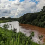 Brumadinho (MG), 25/01/2024 -Rio Paraopeba, onde grande parte da lama decorrente do rompimento da barragem da Vale desceu. Foto: Tânia Rêgo/Agência Brasil