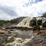 Sistema celebra 25 anos protegendo a biodiversidade brasileira