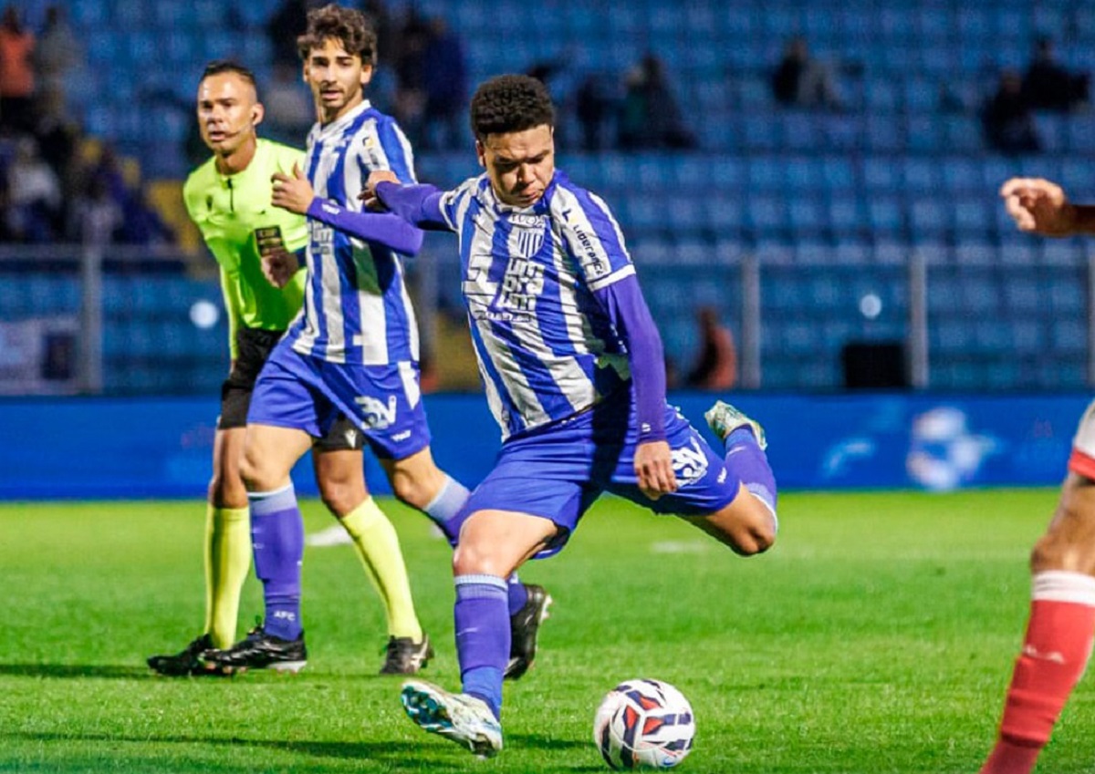Avaí x Botafogo-SP hoje ao vivo: onde assistir e tudo sobre o jogo da Série B. Imagem: Divulgação Avaí