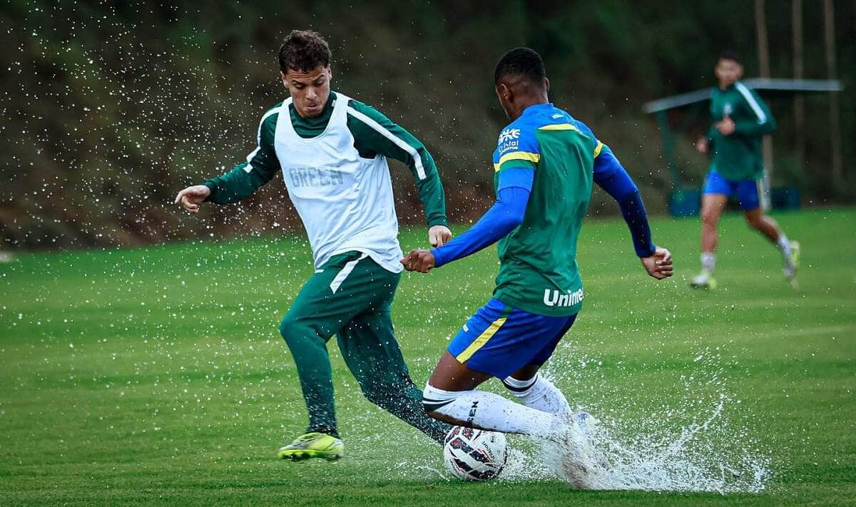 Goiás x Criciúma: tudo sobre o duelo da 15ª rodada da Série B. Imagem: Divulgação Goiás
