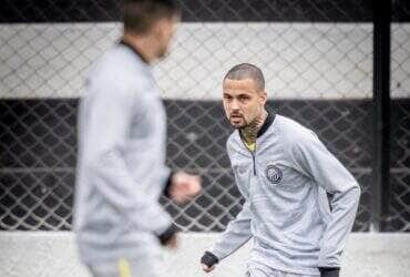 Operário-PR x CRB: Onde assistir ao vivo, escalações e tudo sobre o duelo na Série B. Imagem: André Oito/OFEC