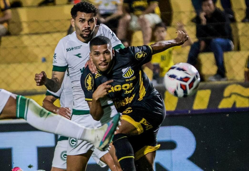 CRB x Novorizontino ao vivo: onde assistir, escalações e detalhes do confronto da Série B. Imagem: Higo Basso/Novorizontino