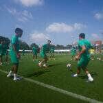 Palmeiras x Chelsea: confronto de gigantes nas quartas do Mundial de Clubes. Imagem: Cesar Greco/Ag. Palmeiras