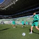 Palmeiras x Mirassol: Onde assistir ao vivo, prováveis escalações e tudo sobre o duelo da 14ª rodada do Brasileirão. Imagem: Cesar Greco/Ag. Palmeiras