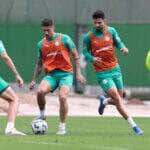 Palmeiras x Grêmio ao vivo: onde assistir, escalações e como chegam os times para o duelo. Imagem: Cesar Greco/Ag. Palmeiras