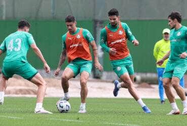 Palmeiras x Grêmio ao vivo: onde assistir, escalações e como chegam os times para o duelo. Imagem: Cesar Greco/Ag. Palmeiras
