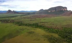 BNDES destina R$150 milhões para prevenção de incêndios