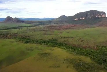 BNDES destina R$150 milhões para prevenção de incêndios