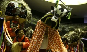 Mais de 400 grupos celebram o Bumba-meu-boi no Maranhão com tradição e fé