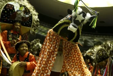 Mais de 400 grupos celebram o Bumba-meu-boi no Maranhão com tradição e fé