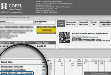 Rio de Janeiro (RJ) 24/01/2025 - Saiba o que é o bônus Itaipu, que ajudou a conter a prévia da inflação ARTE CONTA DE LUZ/ITAIPU BINACIONAL