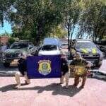 Condutor do veículo Fiat Strada foi preso após cão farejador identificar entorpecentes na caçamba; drogas estavam sendo transportadas de São José dos Quatro Marcos para Várzea Grande