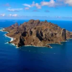 Ilha revela força da recuperação ambiental com aumento expressivo de vegetação