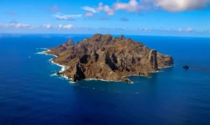 Ilha revela força da recuperação ambiental com aumento expressivo de vegetação