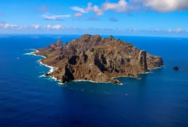 Ilha revela força da recuperação ambiental com aumento expressivo de vegetação