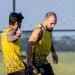 Novorizontino x Goiás: Onde assistir, escalações e o que esperar do confronto direto pela liderança da Série B. Imagem: @basso.photo Novorizontino