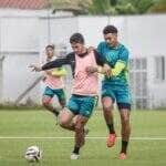 Brusque x Figueirense: Onde assistir, escalações e tudo sobre o clássico pela Série C. Imagem: @ocancheiro