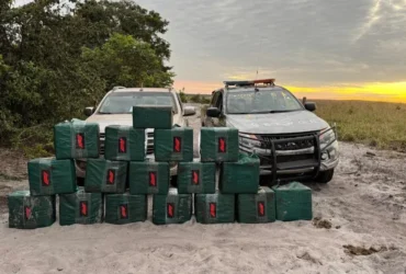 Apreensões crescem 646% e Mato Grosso retira 19,6 toneladas de drogas das ruas