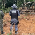 Multas ambientais somam R$ 69 milhões em Mato Grosso no primeiro semestre