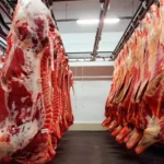 Carne para exportação