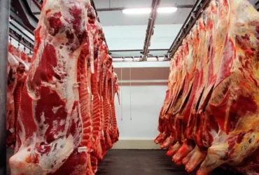 Carne para exportação