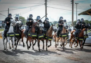 Polícia apreende menor com 42 porções de droga em Nova Mutum