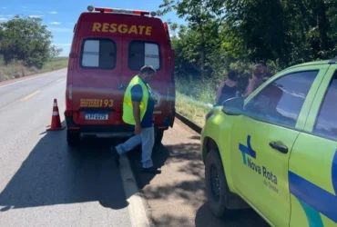Carreta tomba em Mato Grosso e carga de arroz bloqueia rodovia