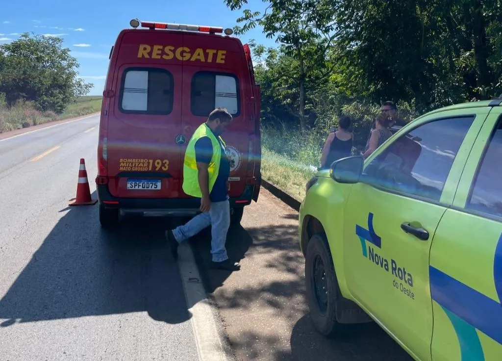 Carreta tomba em Mato Grosso e carga de arroz bloqueia rodovia