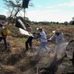 Corpo de Bombeiros de Mato Grosso capacita brigadistas para fortalecer prevenção