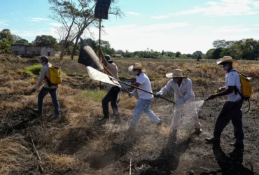 Corpo de Bombeiros de Mato Grosso capacita brigadistas para fortalecer prevenção