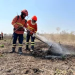 Corpo de Bombeiros convoca brigadistas temporários para reforço no combate aos incêndios