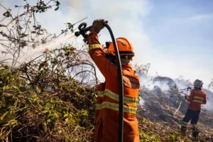 Campanha incentiva prevenção de queimadas em Mato Grosso