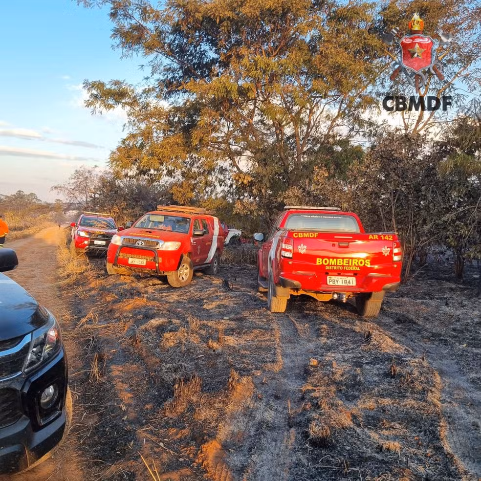 Dois servidores do IBGE morrem carbonizados ao combater incêndio perto de Brasília
