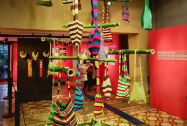 Exposição destaca cultura Maxakali com artesanato em embaúba