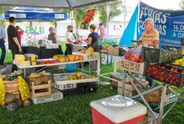 Feira da familia em Varzea Grande retorna nesta quinta com produtos frescos e delicias culinarias -CenárioMT