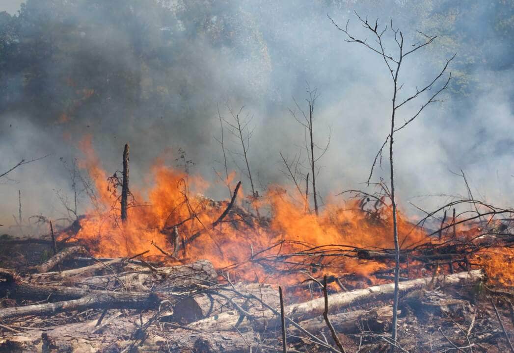 Fogo, queimadas