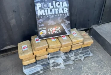 PMMT