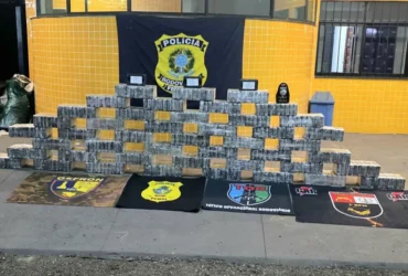 Forças apreendem cocaína e geram prejuízo milionário a facções