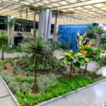 Sema inicia atendimentos sobre CAR em Sinop com foco na nova versão digital