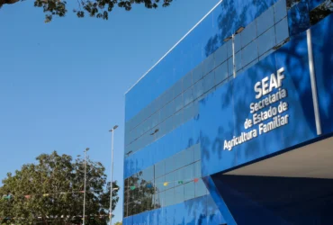 Governo de Mato Grosso lança licitação para fortalecer cadeia do leite